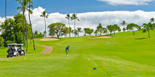 茨城県常陸大宮周辺でフェアウェイが広いゴルフ場まとめ | ゴルフハック[GolfHack]