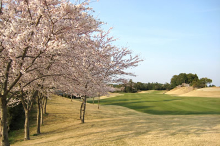 千葉県で土日のラウンド料金が安い 格安ゴルフ場まとめ ゴルフハック Golfhack